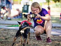 Adoptuj Warszawiaka  Wydarzenie promujące adopcję zwierząt. Organizator: Schronisko dla Bezdomnych Zwierząt "Na Paluchu". 18 sierpnia 2019, Park Raszyński w Raszynie. : park raszyński, adoptuj warszawiaka, na paluchu, schronisko dla zwierząt, centrum warszawy, raszyn